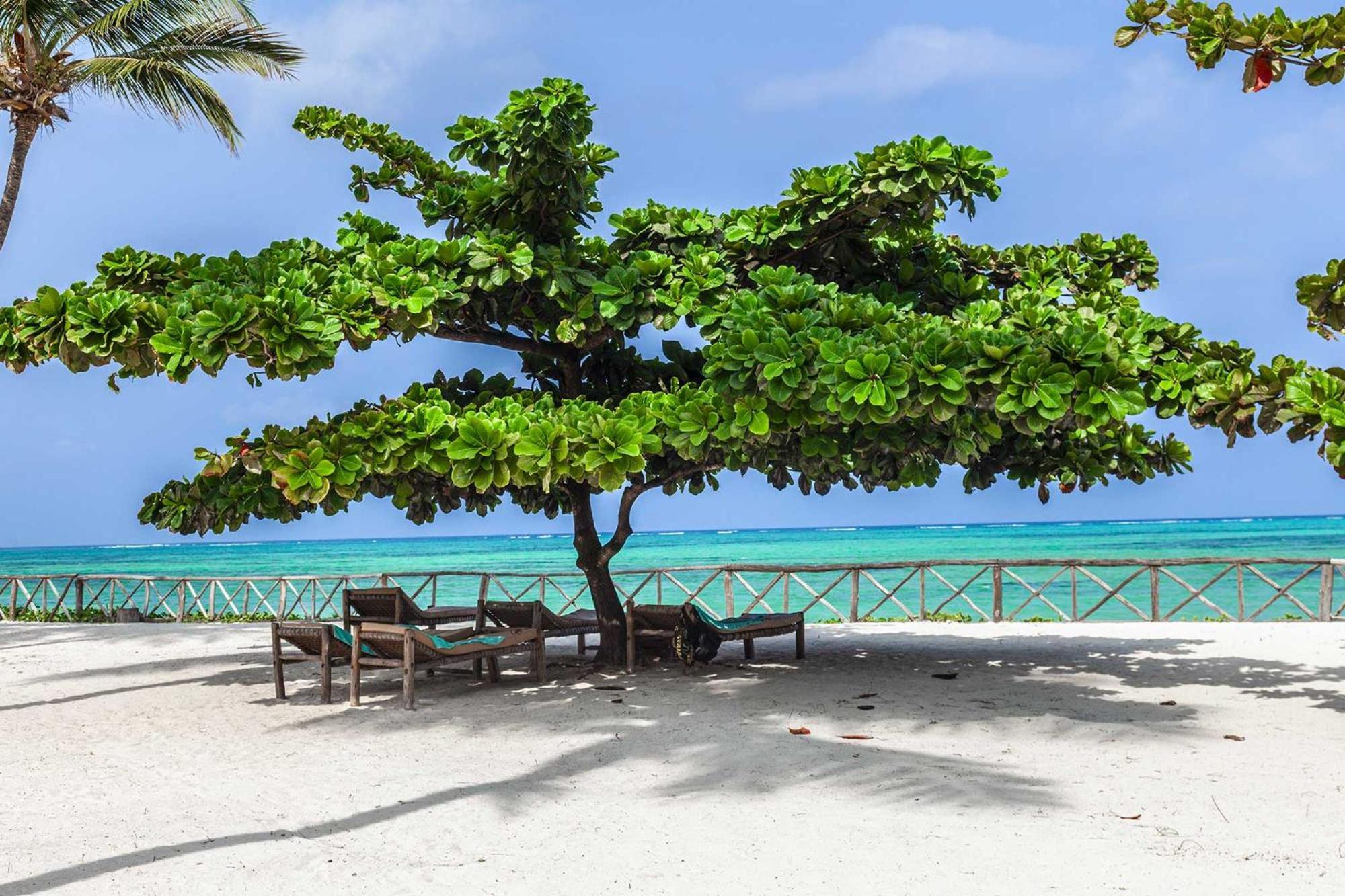 Vrclub Paje Palms Beach Resort ภายนอก รูปภาพ